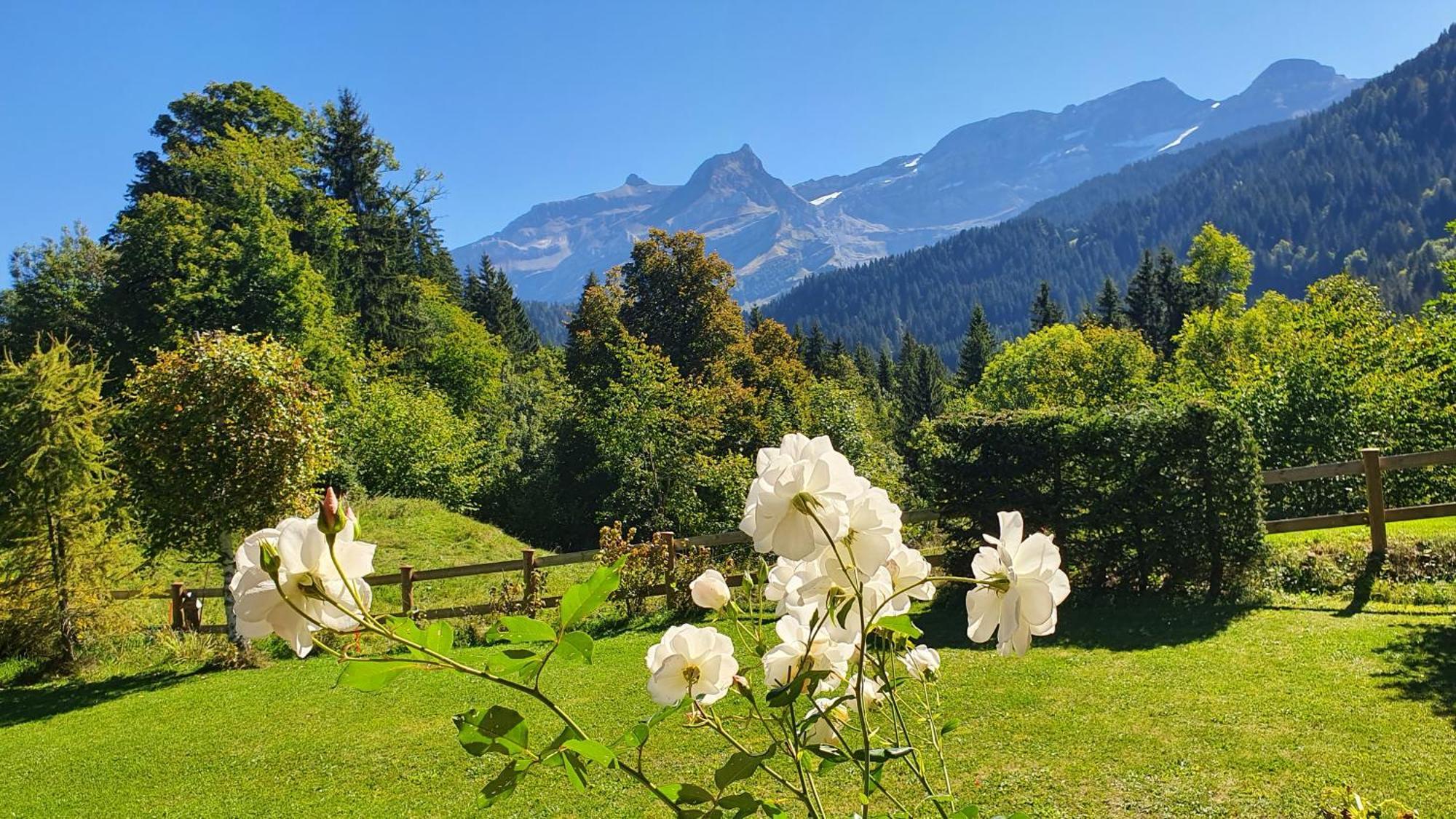 B&B Chalet La Croisee Vers L'Eglise Exterior foto